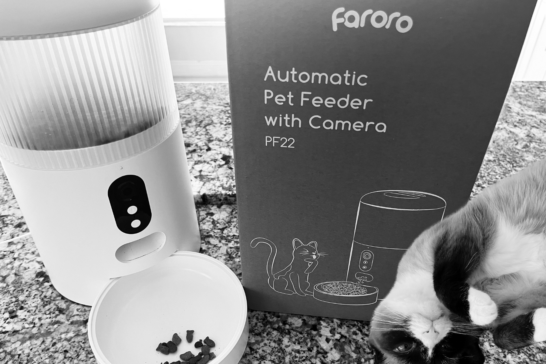 Faroro automatic cat feeder